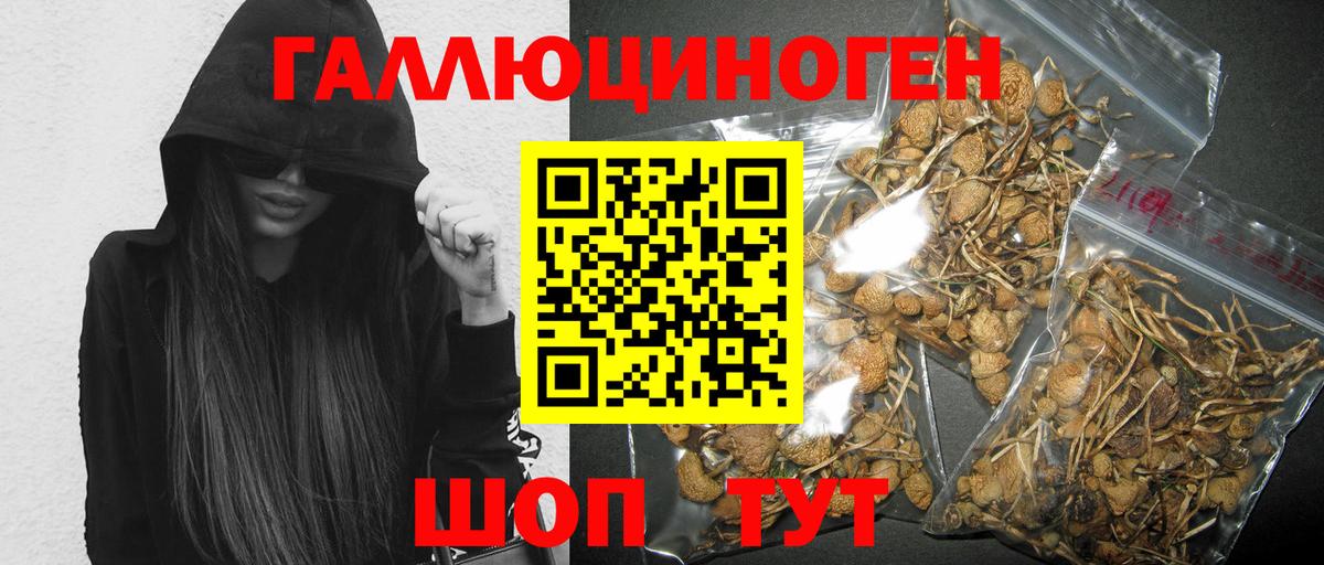 Егорьевск  Галлюциногенные грибы Psilocybe  Вход с VPN  Галлюциногенные грибы прущие грибы 